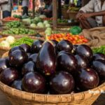 একটি কানা বেগুনের আত্মজীবনী